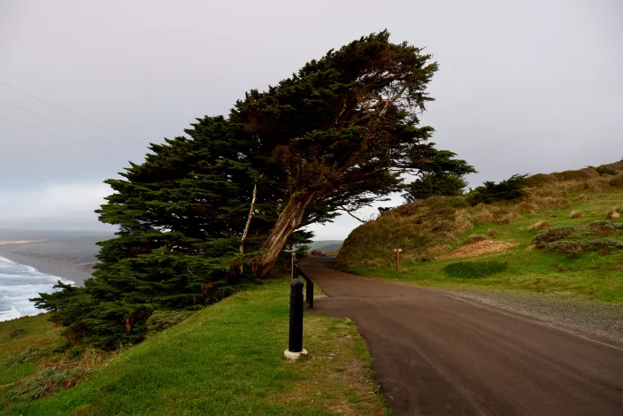 Entering Point Reyes Lighthouse